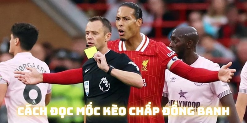 Trong mức chấp đồng banh. sự chênh lệch của hai đội chỉ qua mức rate thưởng
